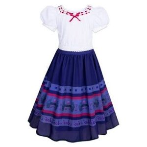 Adult Luisa costume